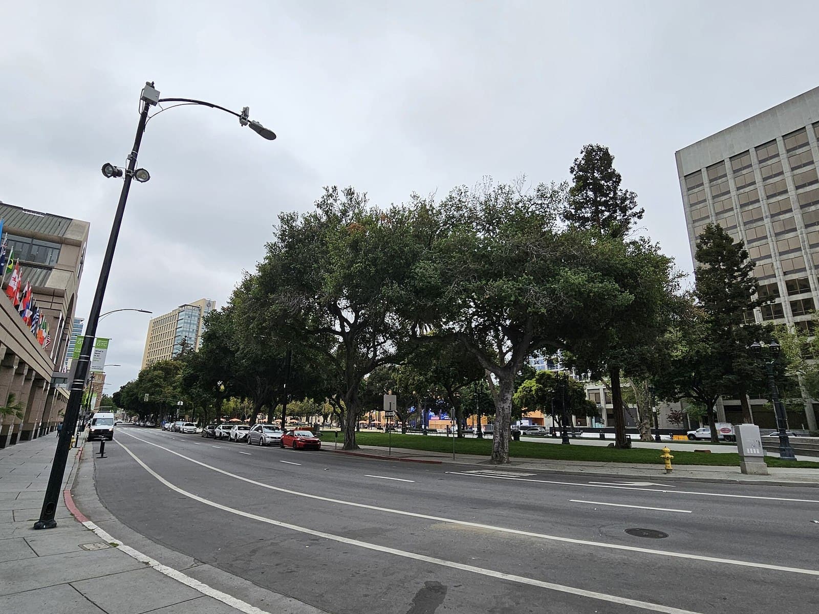 Tree-lined Plaza de Cesar Chavez beside a quiet downtown San Jose street